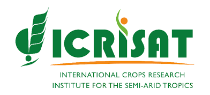 /icrisat-log